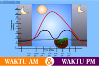 ✅ AM dan PM: Membedakan Waktu Pagi dan Malam dengan Tepat