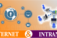 Perbedaan Internet Dan Intranet ✅ Perbedaan Internet dan Intranet: Pengertian, Keamanan, dan Kecepatan Akses
