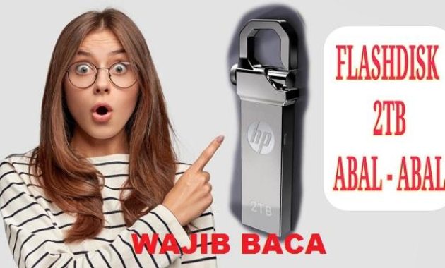ciri-ciri flashdisk palsu ciri-ciri flashdisk palsu